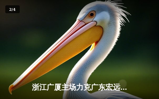 浙江广厦主场力克广东宏远，胡金秋狂砍35+15率队终结对手八连胜 - 2